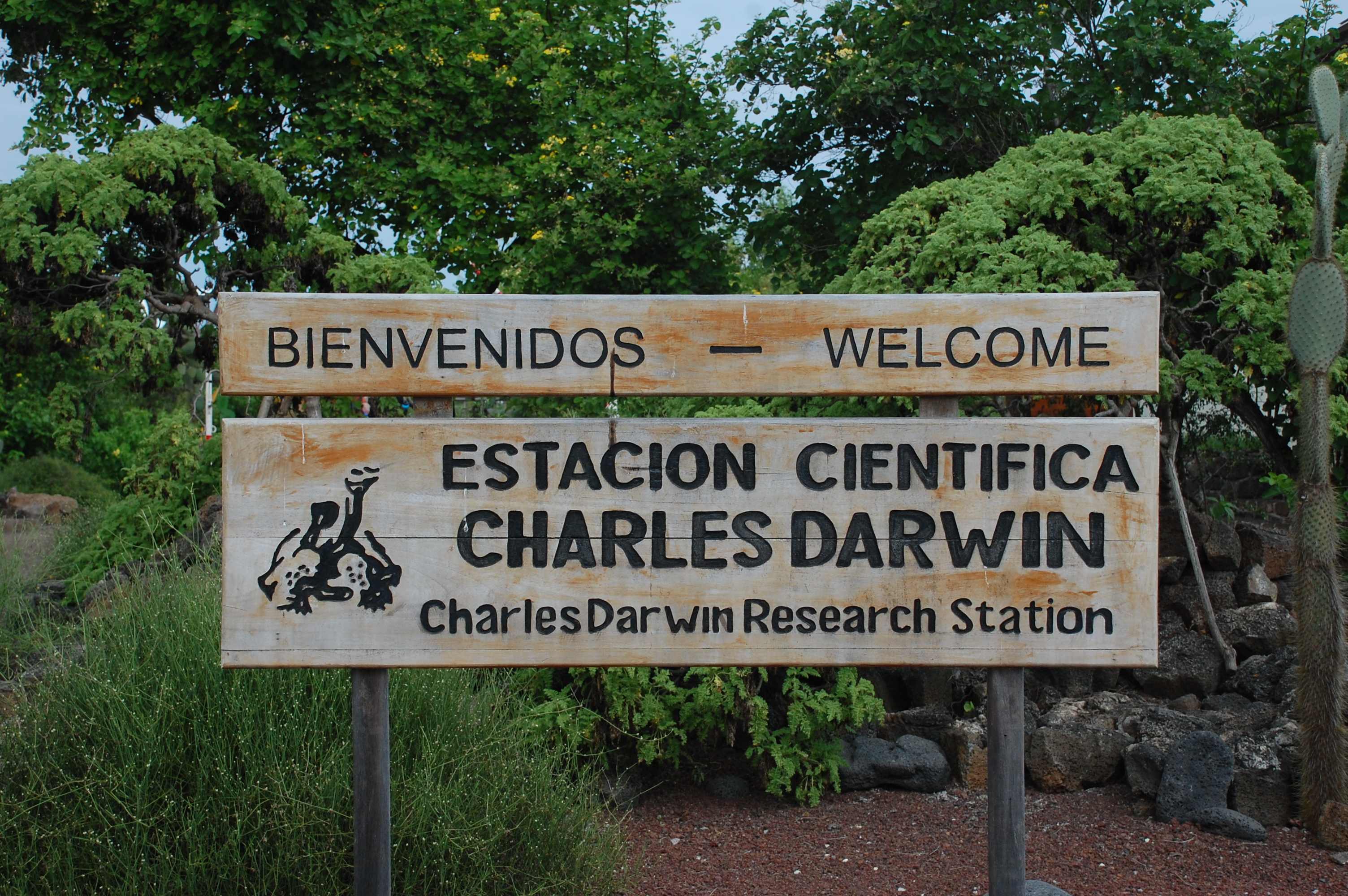 Charles Darwin Research Center on Santa Cruz Island.