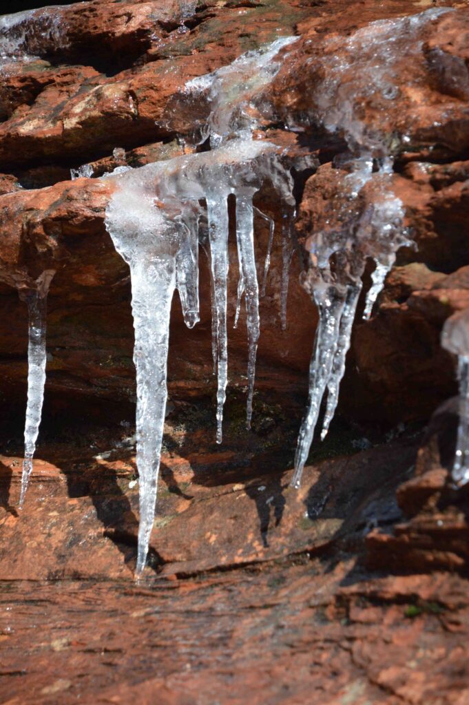 Icicles on Doe Mountain hiking trail.