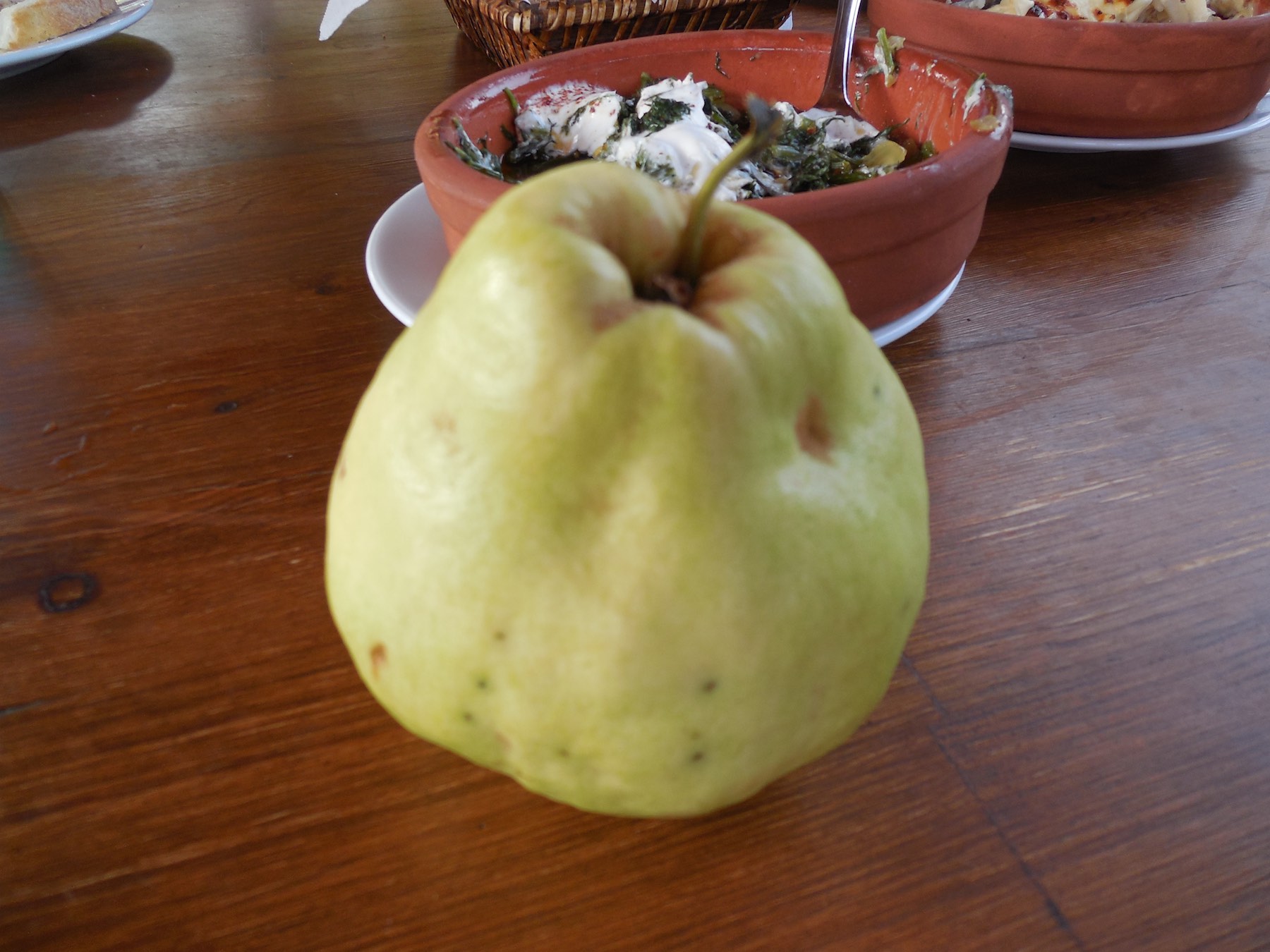 A quince is similar to a pear in look and taste.